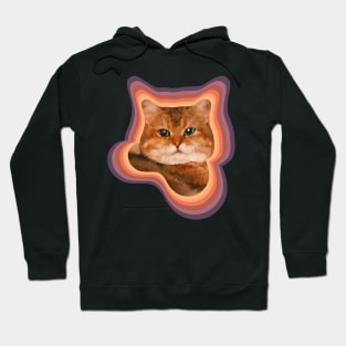 Fat Chonky Brown tabby cat painting Hoodie